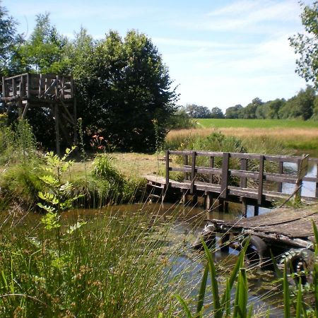 Gîte Le Moulin de la Chaussee Saint-Denis-d'Orques Extérieur photo